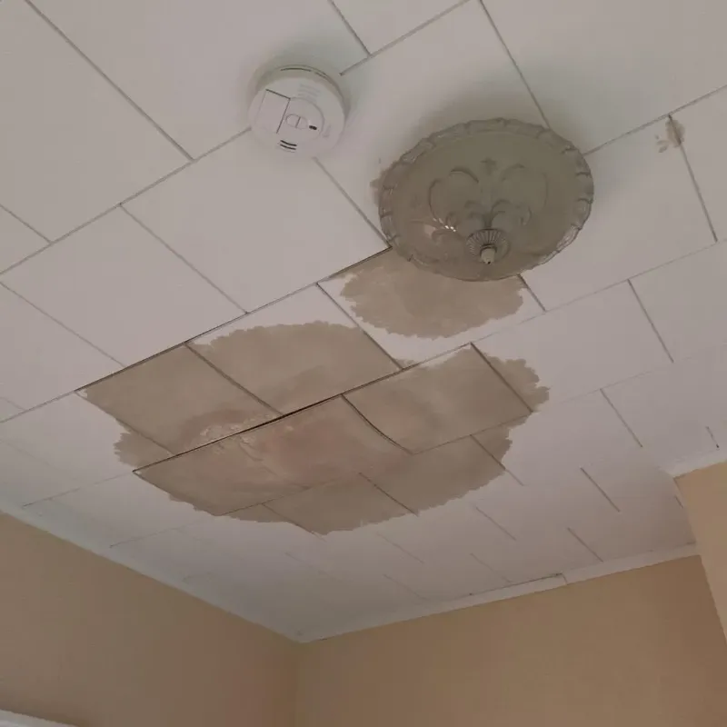 Ceiling Water Damage Repair in Tazewell County, IL