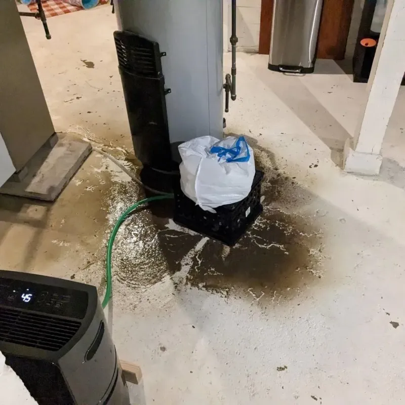 Sewage Backup Cleanup Service in Tazewell County, IL